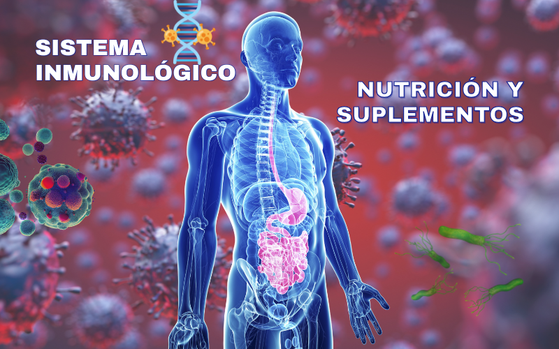La Clave para un Sistema Inmunológico Fuerte: Alimentación, Energía y Suplementación