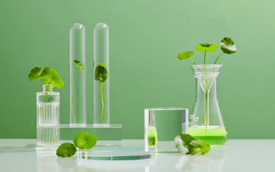Centella asiática: el ingrediente milagroso para pieles sensibles según la ciencia